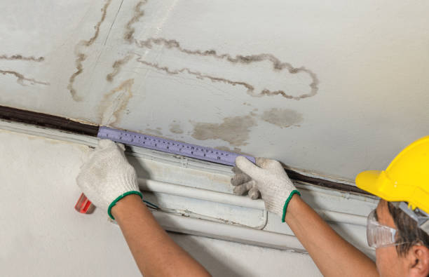 Reliable Sewage Cleanup contractor in Stewartsville, NJ by Water Damage Irwin